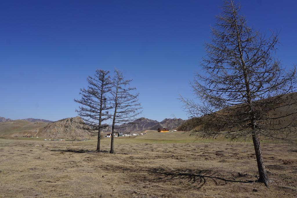 My Mongolia Eco Ger Camp Hotel Nalayh Luaran gambar